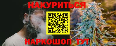 Альфа ПВП Будённовск