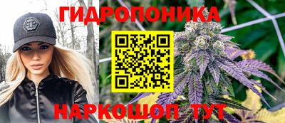 Альфа ПВП Будённовск