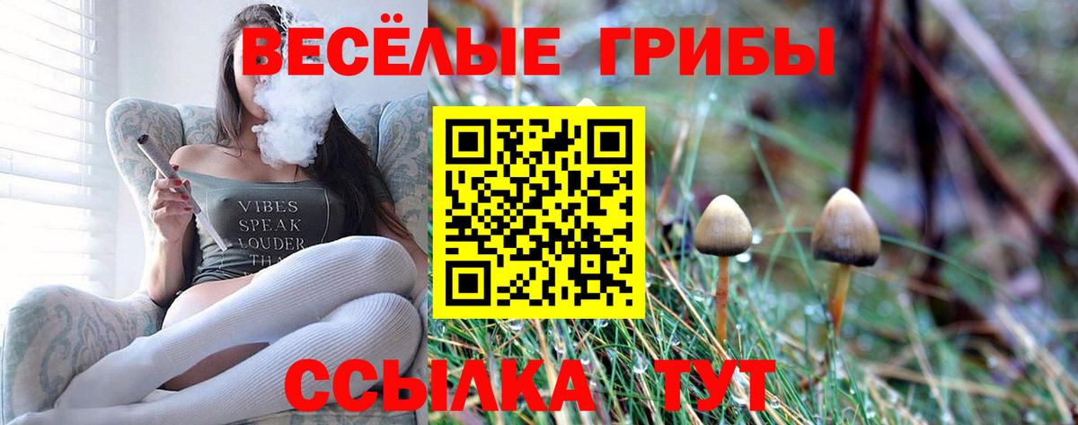 Псилоцибиновые грибы ЛСД  Вход с VPN  Белогорск  Галлюциногенные грибы Psilocybe 